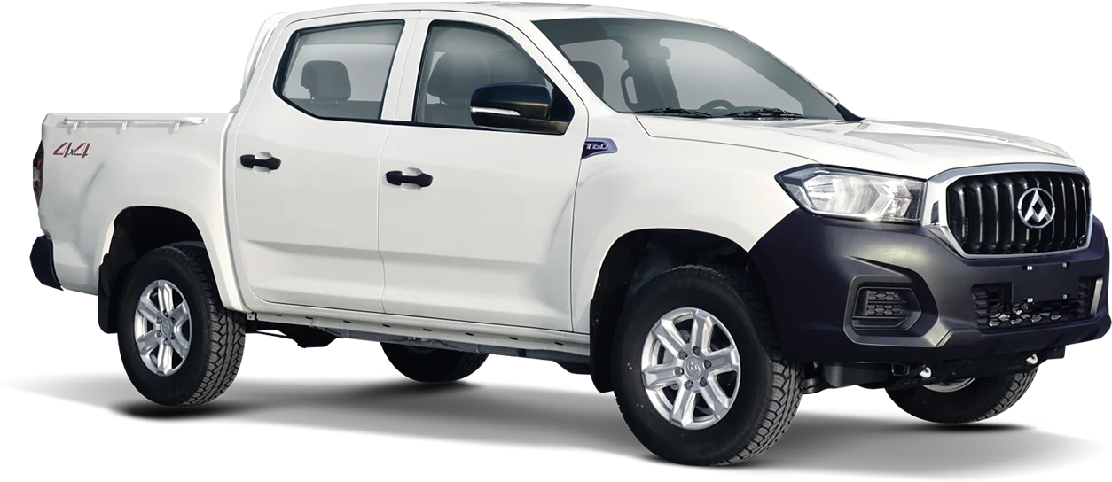 Maxus T60